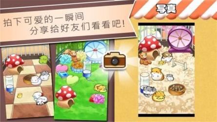 精灵与老鼠 v3.0.5