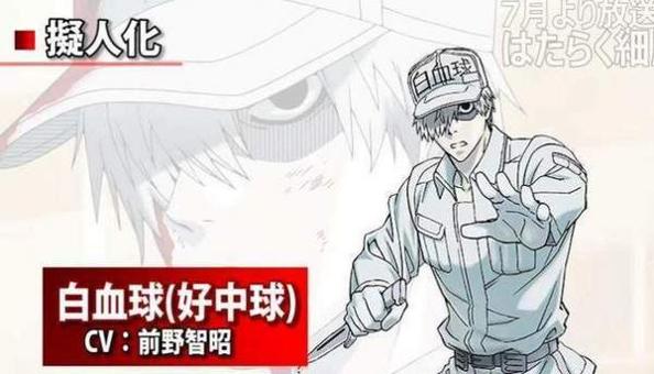 网易工作细胞 v1.0