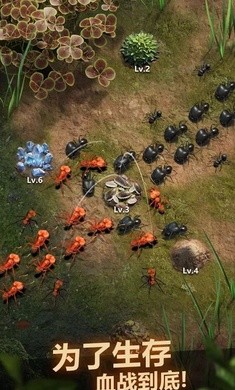 蚂蚁地下王国汉化版  v1.11.1