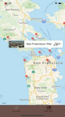 Live Camera Viewer v1.9