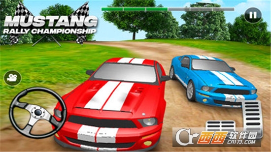 赛车拉力锦标赛 赛车拉力锦标赛