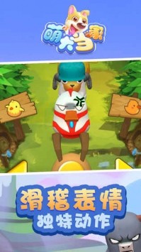 萌犬当家 2019-12-03 18:16