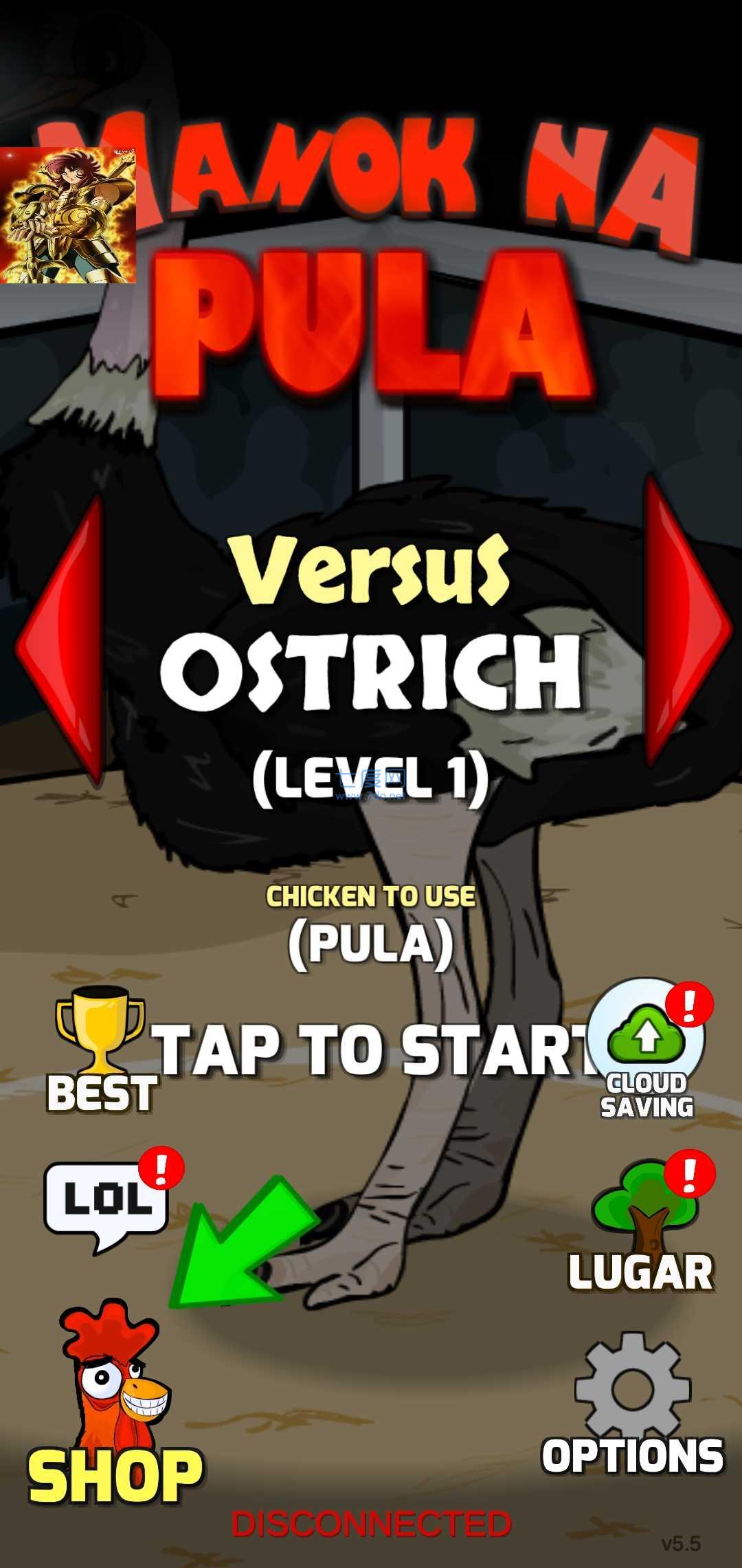 红鸡斗鸡模拟器游戏 v6.5