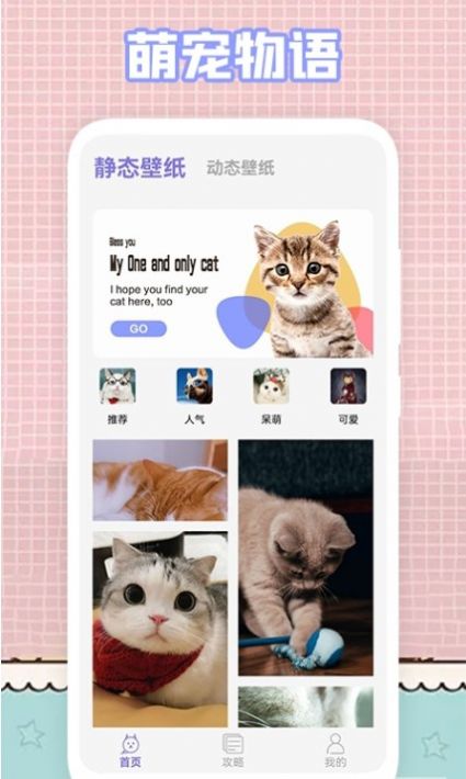 我的猫咪壁纸app官方版  v5.5.1