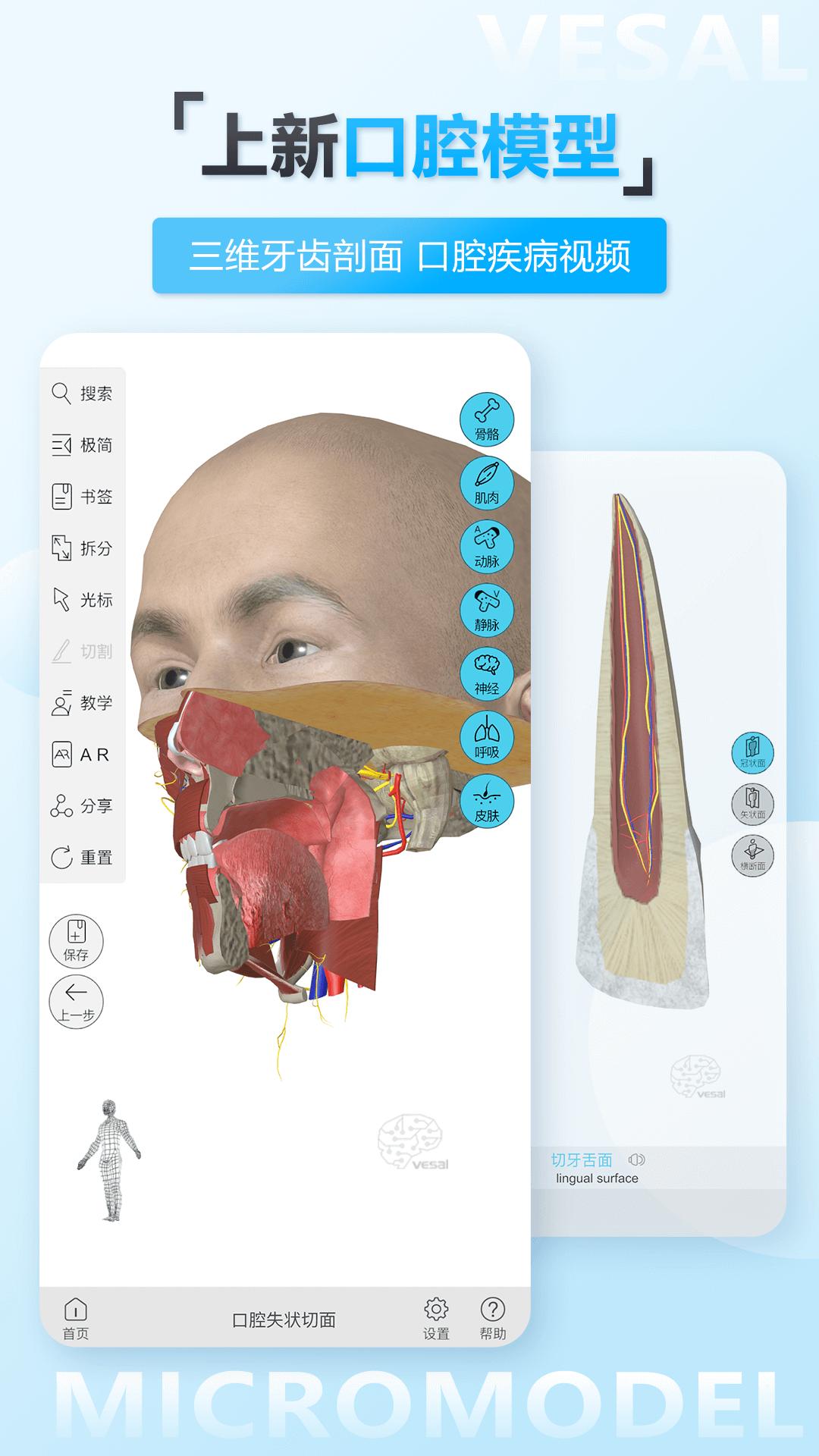 维萨里3D解剖  v5.8.0