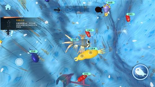 物种进化模拟器 v1.0