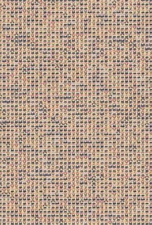寻找唐可可 2021-11-25 14:08
