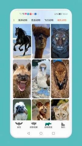 动物吧  v1.1