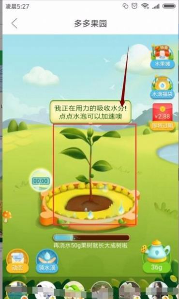 多多果园下载安装免费种树app送水果  v5.0.4