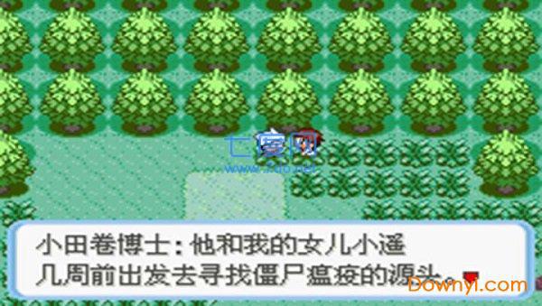 口袋妖怪蛇纹木破解版