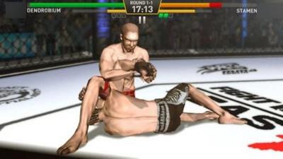 格斗明星  v1.0.1