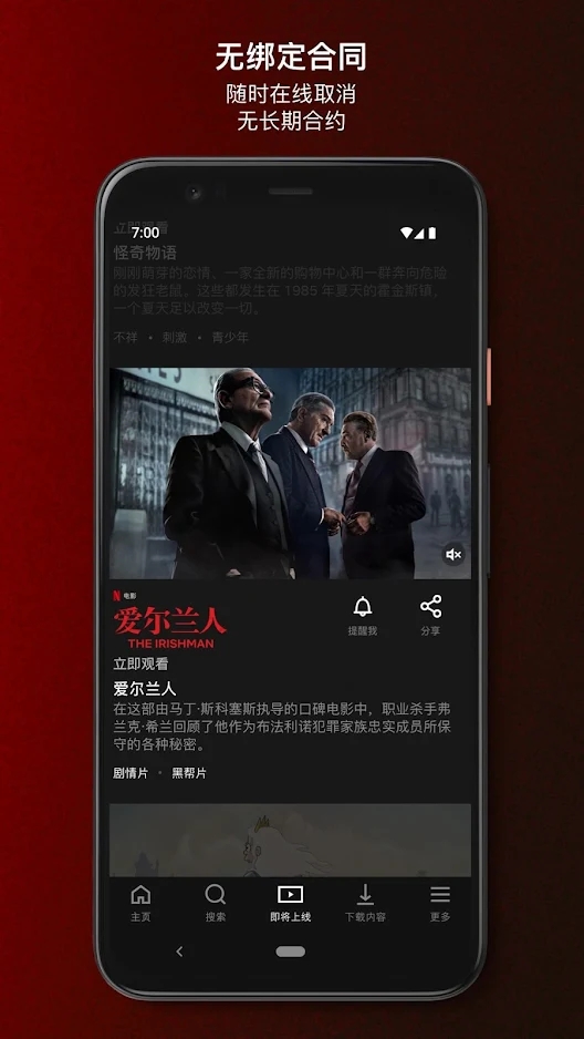 奈飞中文版