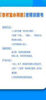 支付宝小荷包 v3.1.5