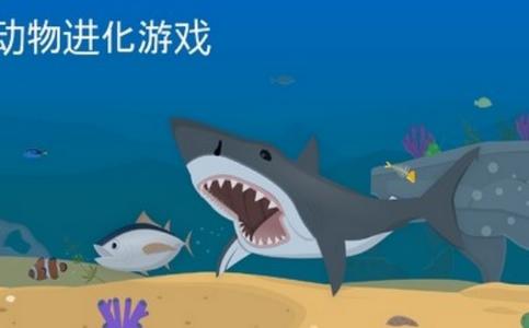 动物进化游戏 2020-04-13 15:27
