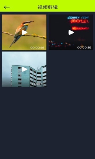 白羊视频截图2