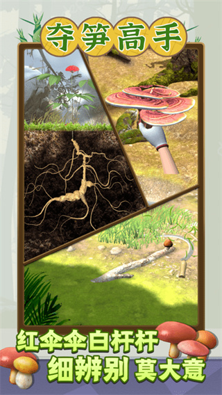 夺笋高手 最新版2023 v3.0.5