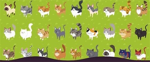 喵喵餐厅的奇迹 v1.0.9