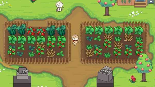 猫咪森林中文版