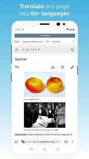 Kiwi浏览器app v111.0.5563.73