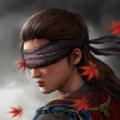 影子猎人的传说游戏国际服中文版