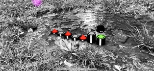 言弃AR版ios版 v3.0.5