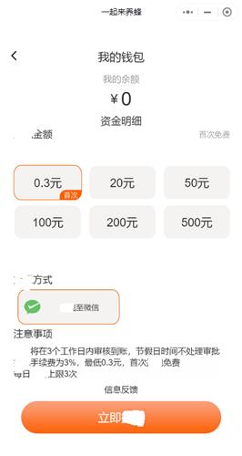 一起来养蜂截图2