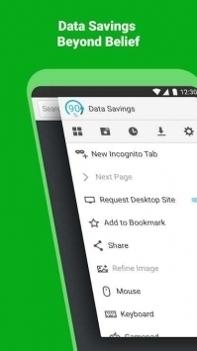 Puffin浏览器app v2.0.5