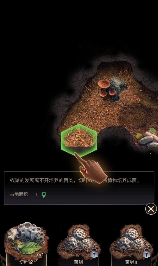 小熙解说模拟地下蚁国手机中文版游戏免费下载  v3.0.4