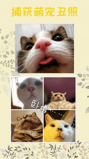 猫语器  v2.9
