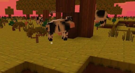 1640933163873451.jpg 1640933163873451.jpg