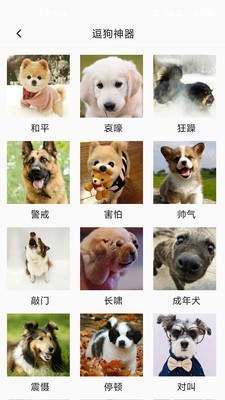 狗狗狗语翻译器截图2