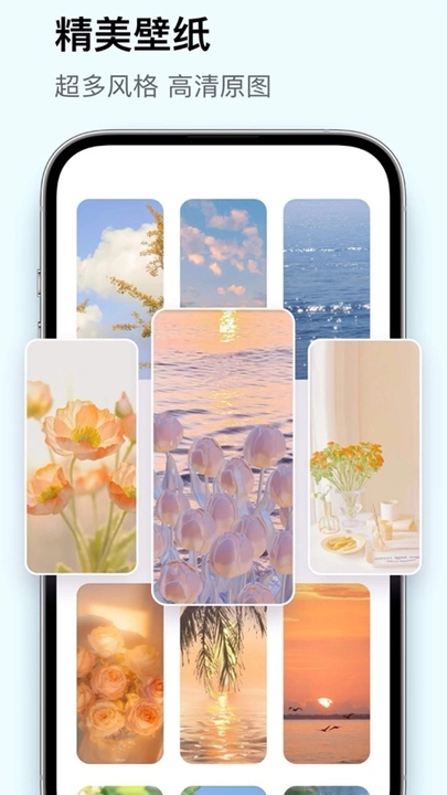 聚光糖趣软件官方版图片1