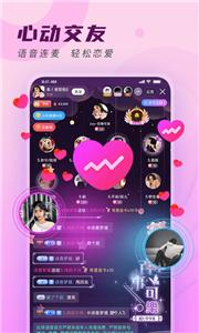 比熊交友  v1.0.0