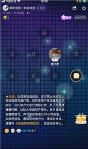 叮叮语音