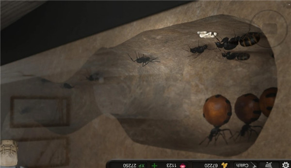 蚂蚁模拟大亨官方版 v2.9.9