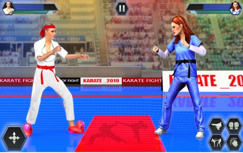 真正的空手道搏击拳2020