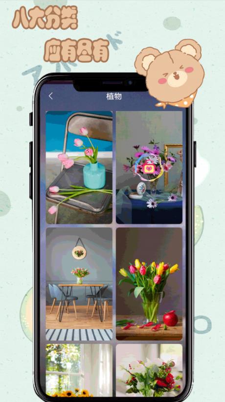 元气小熊壁纸 v1.0