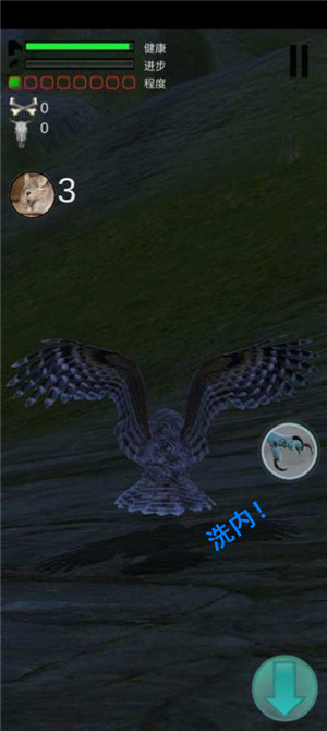 猫头鹰狩猎之旅 v1.121