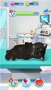 宠物大乐园手游截图2