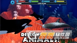 虎鲸模拟 虎鲸模拟