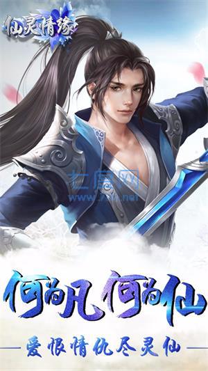 仙灵情缘果盘版