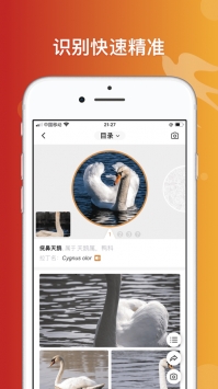 形色识鸟 v3.0.5