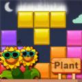 方块消除梦幻菜园