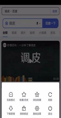 灵猫浏览器.jpg