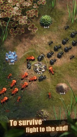 行星蚂蚁游戏安卓版（The Ants）  v5.2.1
