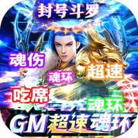 传奇演义超速魂环