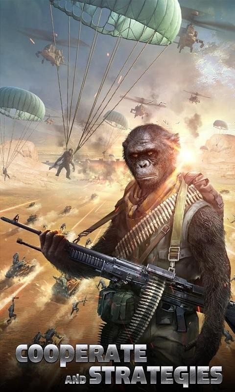 猿的世界 2024-06-25 15:08