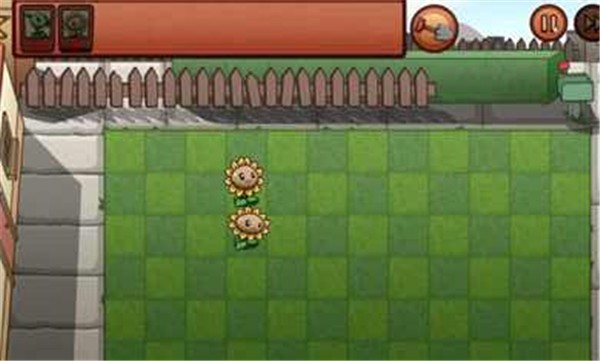 植物大战僵尸BW