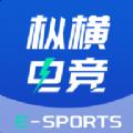 枞横电竞