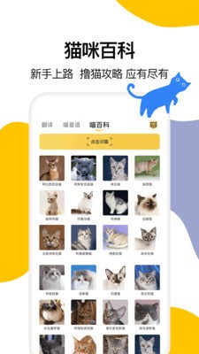 猫语翻译大全 2020-09-29 14:06